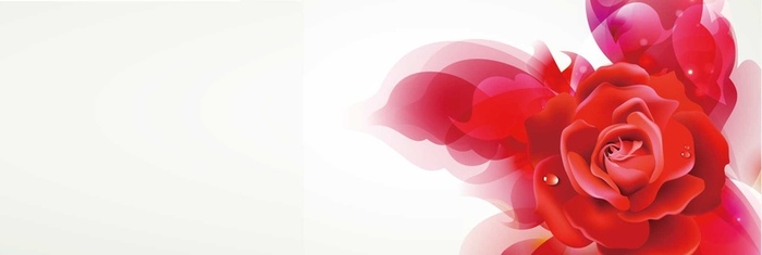 淘宝护肤高清花卉唯美背景banner高清