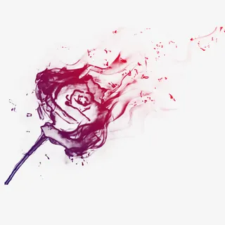 半透明火烧玫瑰免抠图免抠