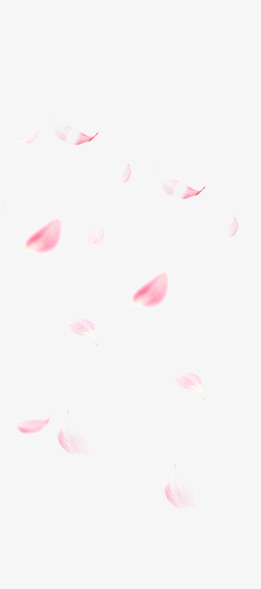 粉色花瓣免抠