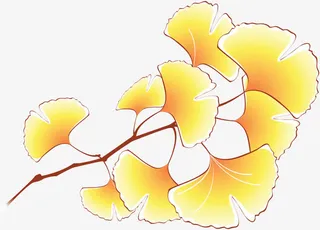 一枝银杏叶子免抠