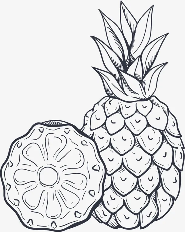 夏季水果手绘菠萝免抠