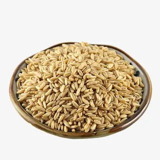 一盘粗粮米免抠