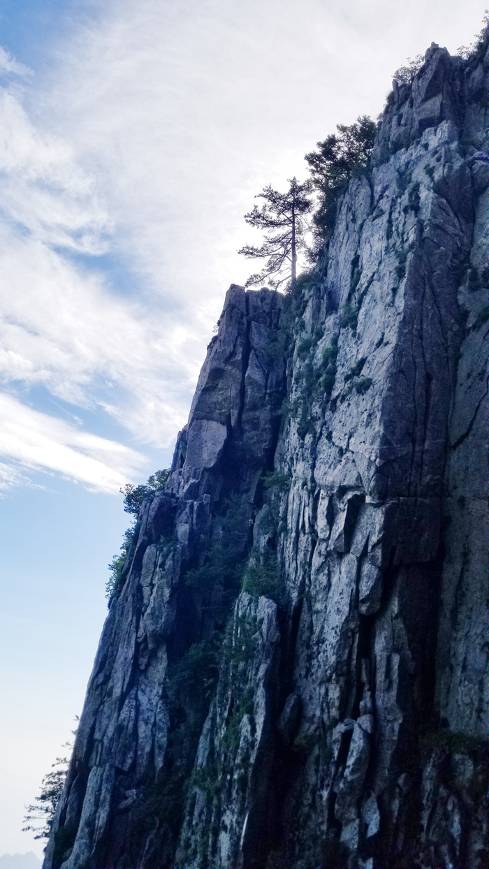 春天 爬山 绿树蓝天松树高清