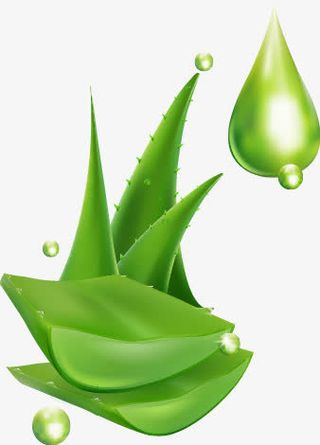 芦荟精华免抠