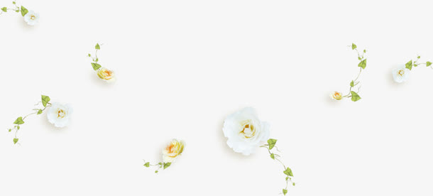 漂浮的白色花朵免抠