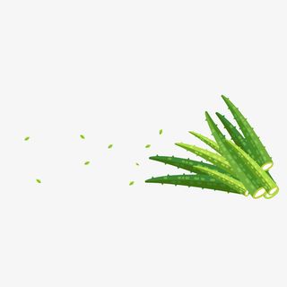 绿色卡通芦荟矢量图免抠