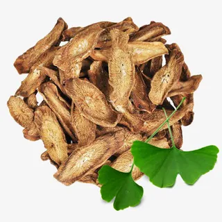 牛蒡茶和银杏叶图片素材免抠