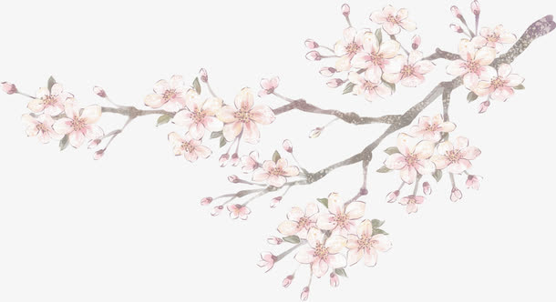 手绘古风花朵树枝免抠
