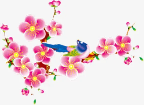 手绘梅花健康教育图片免抠