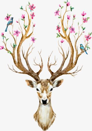 手绘 麋鹿  彩色  花免抠