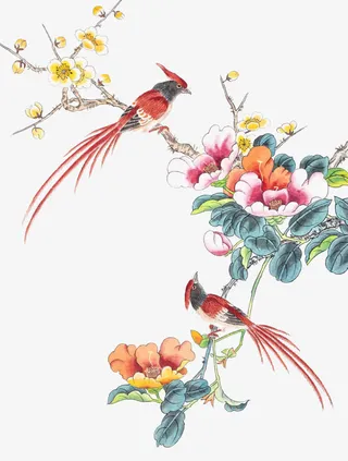 花鸟写意画免抠