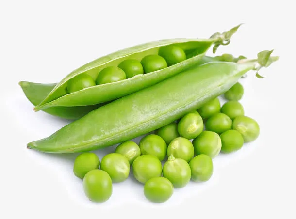 豌豆蔬菜免抠