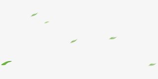 飘动的树叶免抠