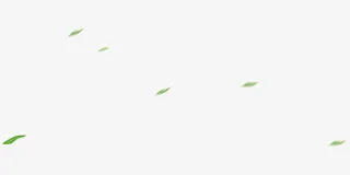 飘动的树叶免抠