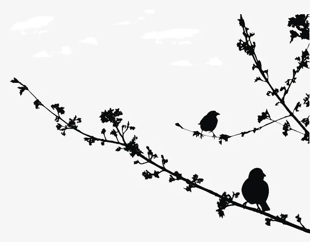 树枝枝芽与小鸟剪影免抠