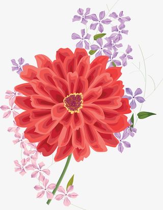 盛开的花朵免抠