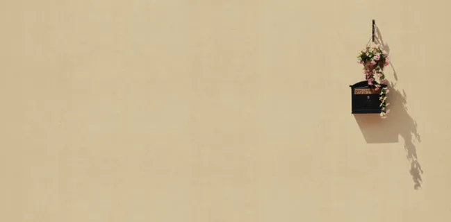 吊兰花朵影子墙体免抠