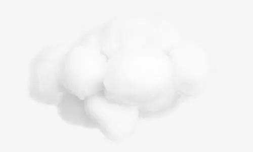 白色植物棉花效果免抠