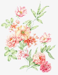 花朵免扣底纹素材免抠 花朵免扣底纹素材免抠