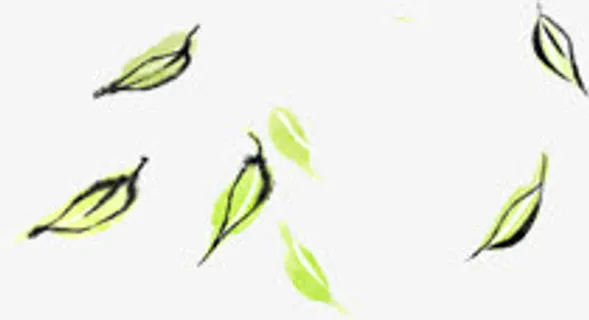 绿色清新春天树叶插画免抠