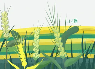 绿色创意纹理麦田元素免抠