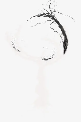 黑色炫酷个性树枝免抠