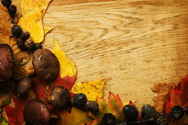 木板与树叶背景