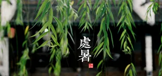 节气处暑背景高清