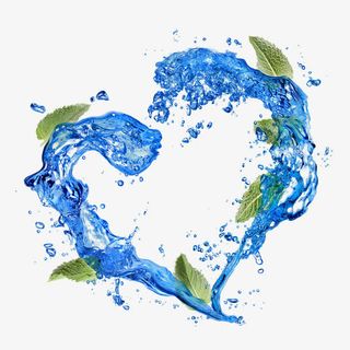 绿叶水元素免抠