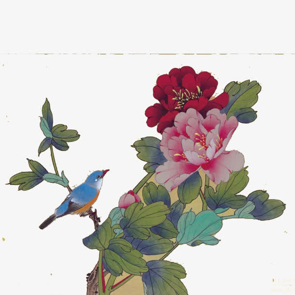 花鸟图免抠
