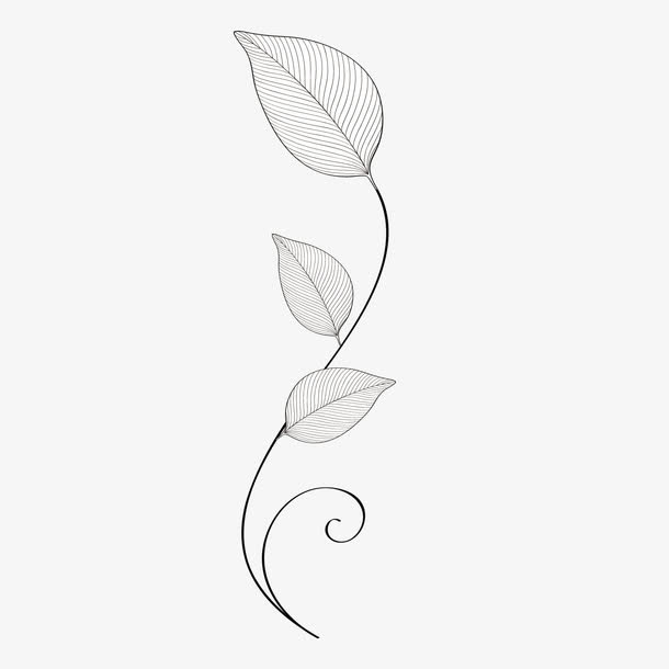 花纹 矢量素材免抠手绘/卡通卡通元素