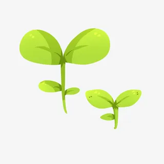 豆芽种子萌芽叶子小苗免抠
