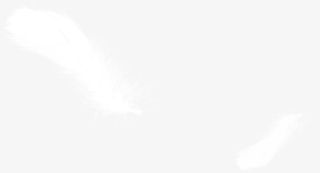 创意合成白色的羽毛免抠