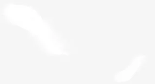 创意合成白色的羽毛免抠