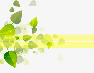 春天叶子树叶免抠漂浮叶子元素