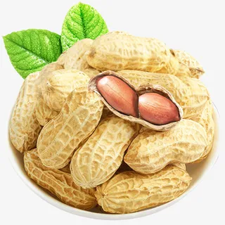 五香有壳花生免抠