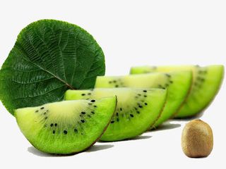 四川浦江绿心猕猴桃免抠