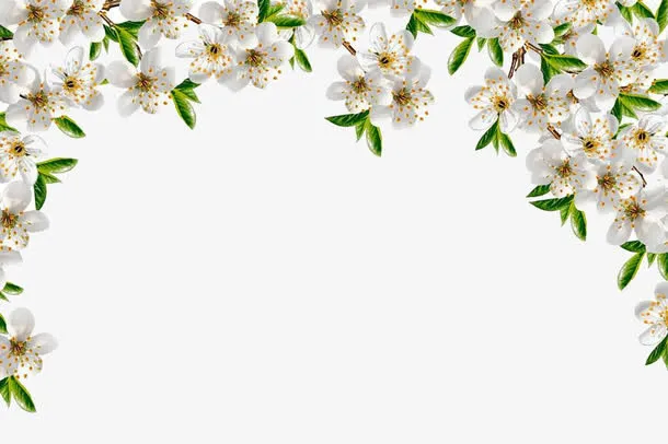 小清新花边框免抠