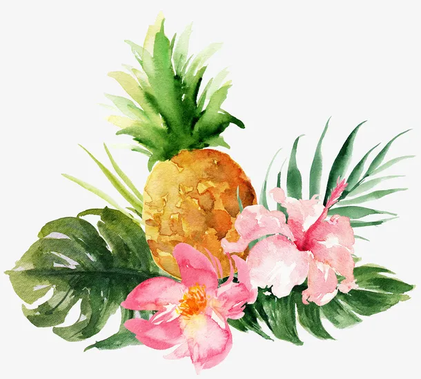 创意的菠萝花朵手绘免抠