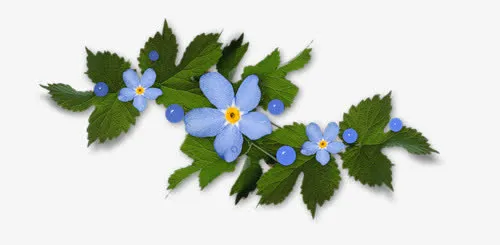 蓝色花草免抠