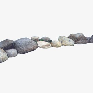 石头缝隙中的小草免抠