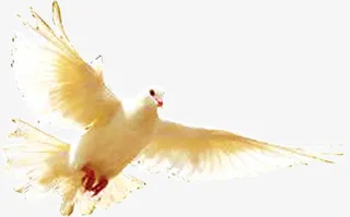 阳光下白色信鸽开业免抠