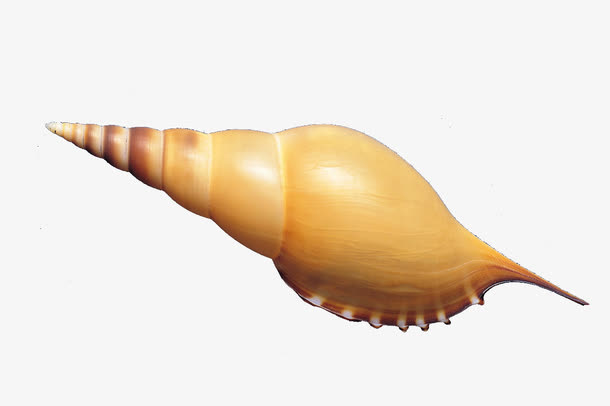 海螺免抠