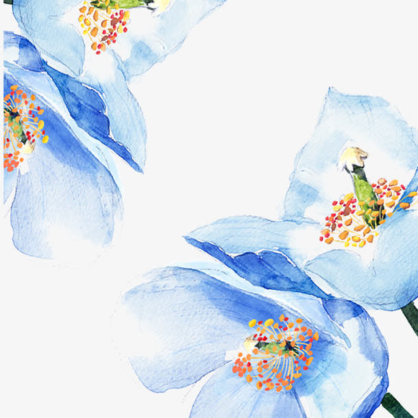 蓝色鲜花免抠