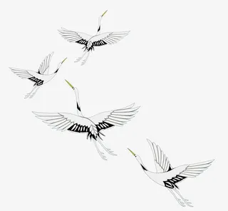 飞翔的海鸥免抠