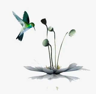 莲蓬与荷花创意设计免抠