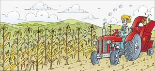 卡通玉米农地收割插画免抠