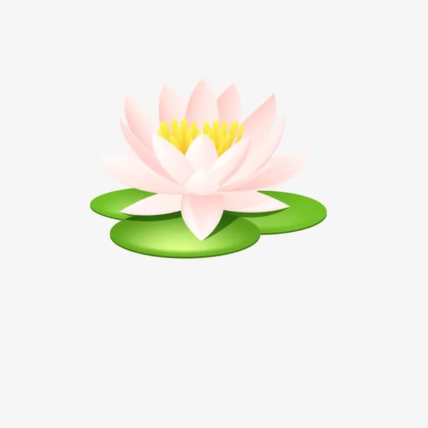 荷花免抠