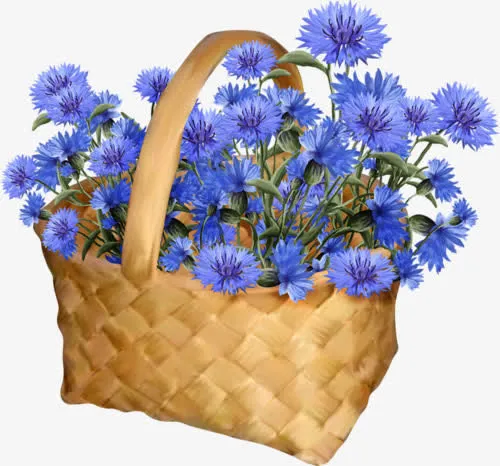 鲜花花篮免抠