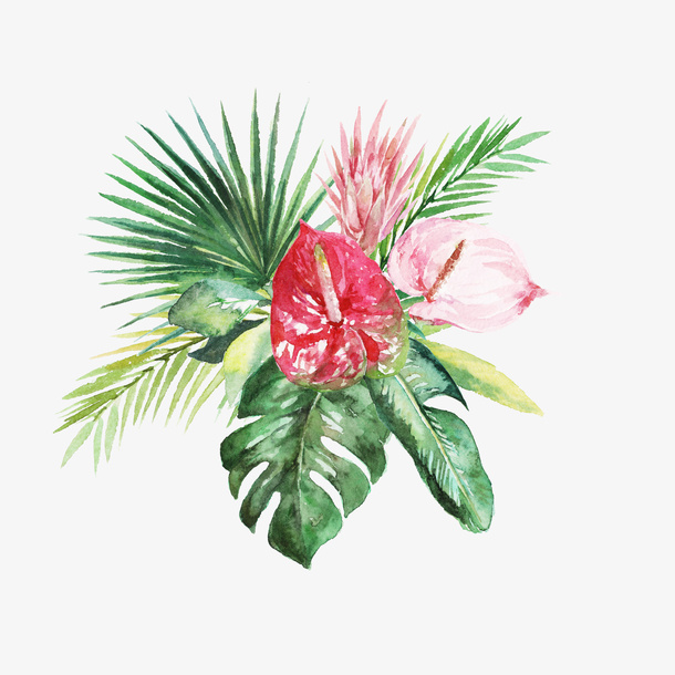 手绘水彩绿色植物叶子免抠
